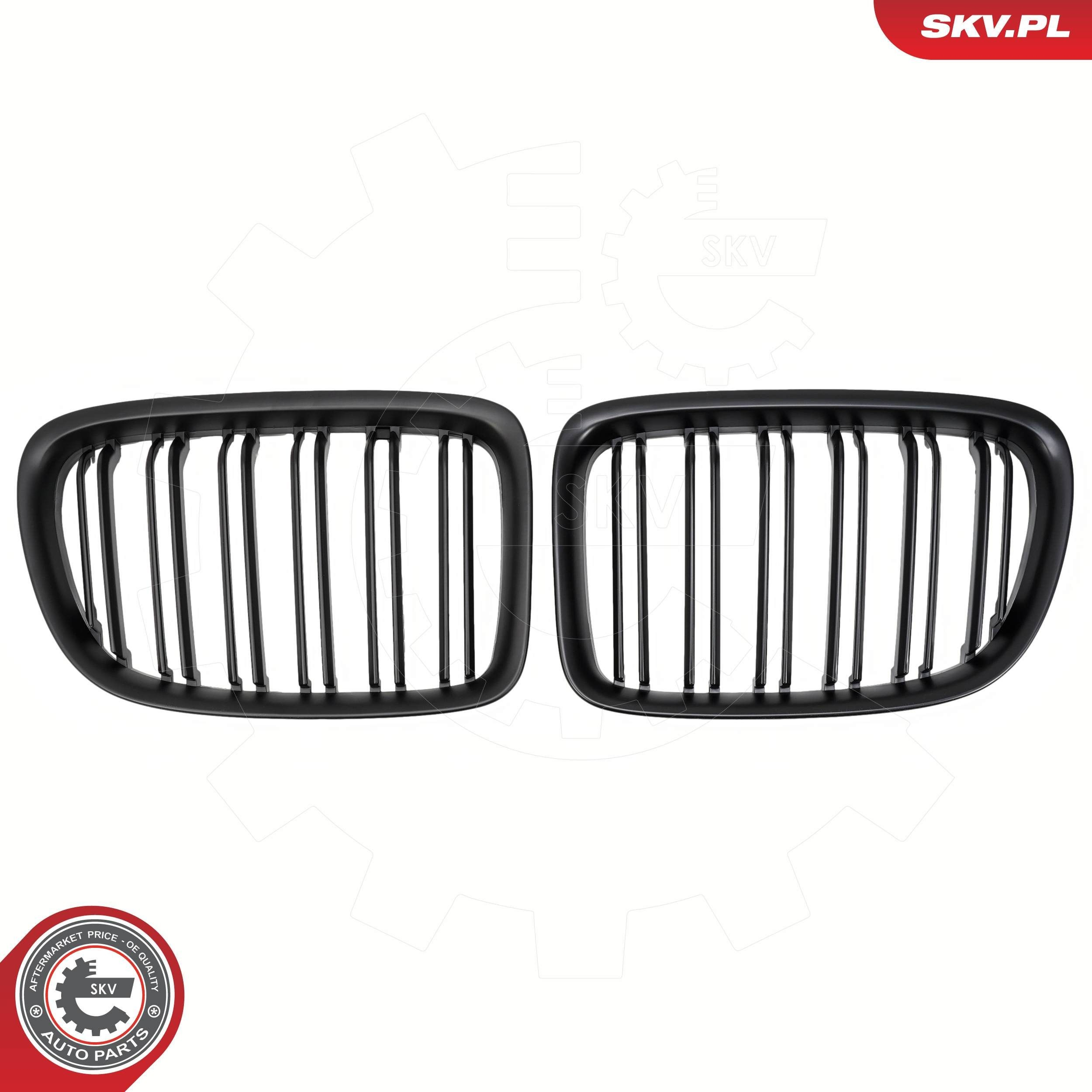 Atrapa chłodnicy do BMW X1  E84